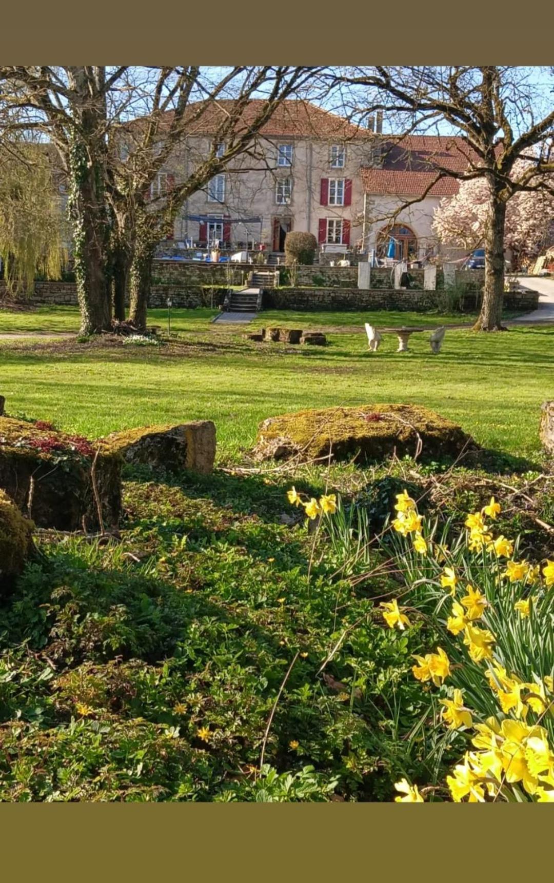 Le Domaine D'Elise Chambres Et Table D'Hotes - Vosges Saint-Ouen-les-Parey 外观 照片