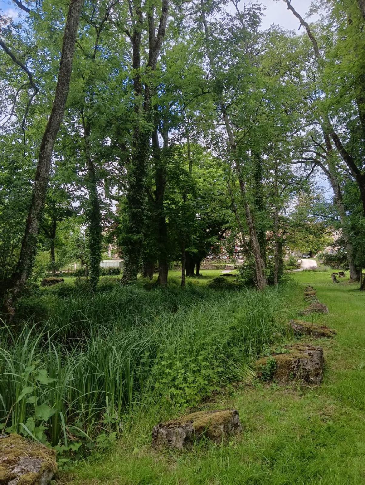Le Domaine D'Elise Chambres Et Table D'Hotes - Vosges Saint-Ouen-les-Parey 外观 照片