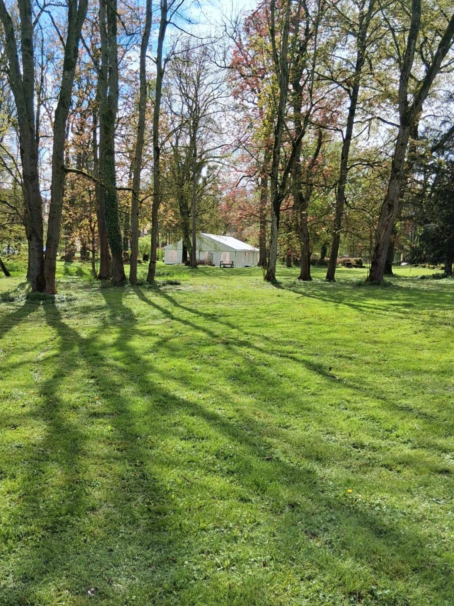 Le Domaine D'Elise Chambres Et Table D'Hotes - Vosges Saint-Ouen-les-Parey 外观 照片